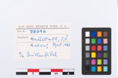 Foto von Bronzebrillenfibel (NHMW-PRAE-078096)